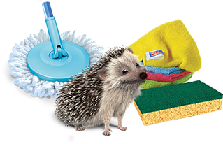 Nuestros productos