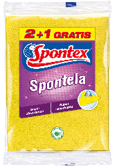 spontela_2_1.png