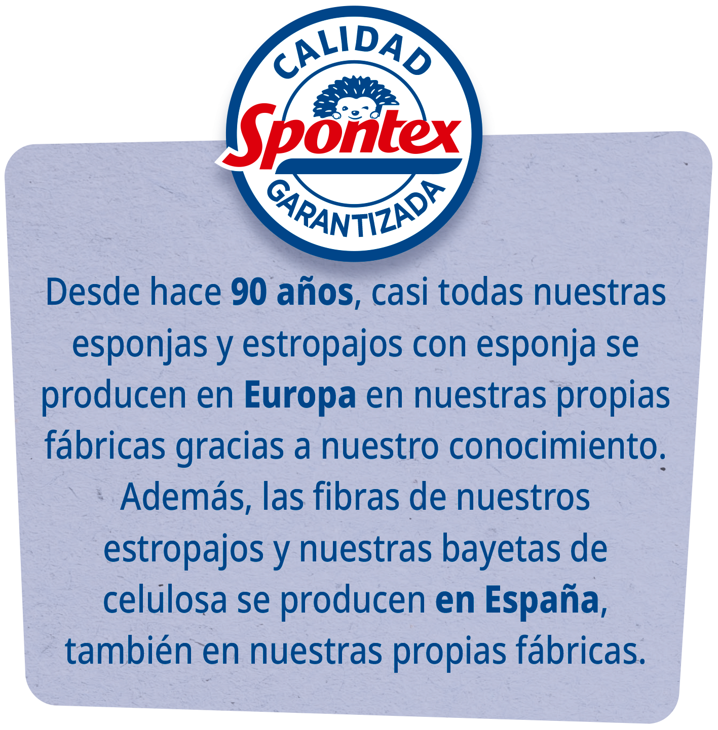 Spontex-Page-BSR-site-SP-4-HD_3_2_22